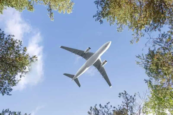 Airplane in the sky