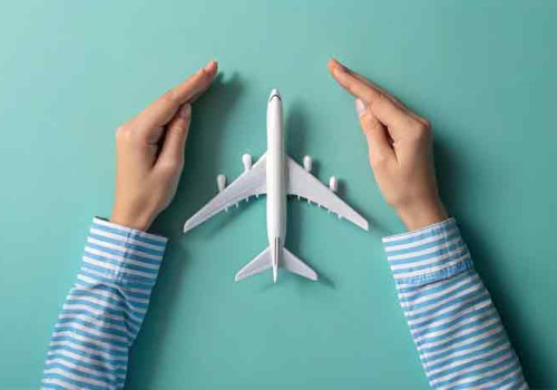 manos protegiendo avión